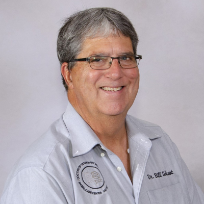William 'Bill'  Wheat, Jr., DVM